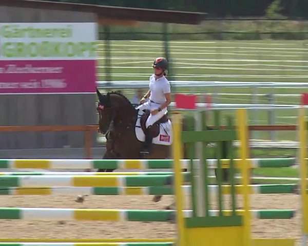 Reitturnier Boxbrunn/Mrf. 2020