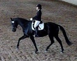 dressage horse Poesie 131 (Bavarian, 2005, from Del Mondo)