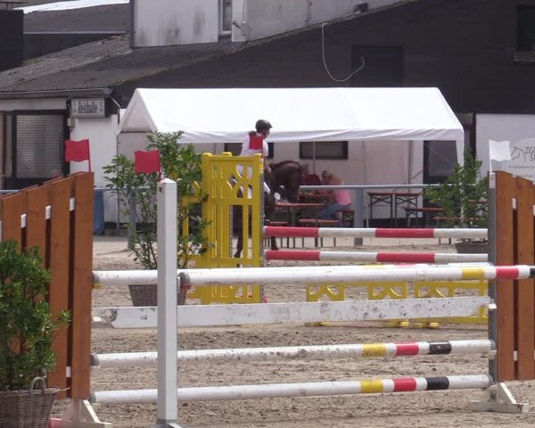 Reitturnier Datteln 2020