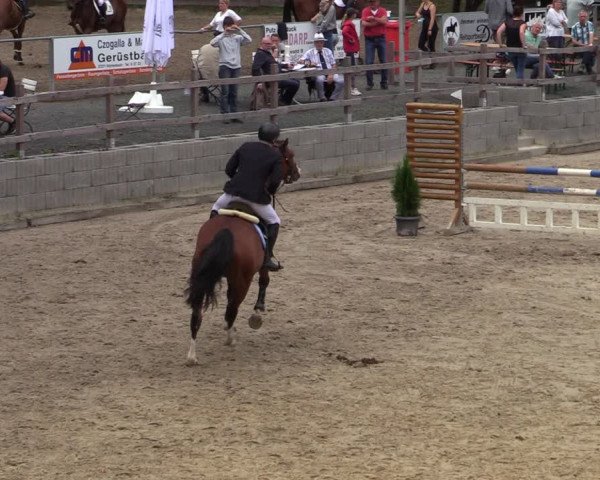 Reitturnier Siegen 2020