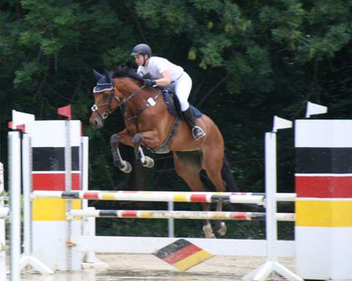 jumper Caralita (Westphalian, 2010, from Camax L)