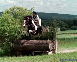 Pferd Floris (Pinto/Kleines Reitpferd, 1987, von Samber)