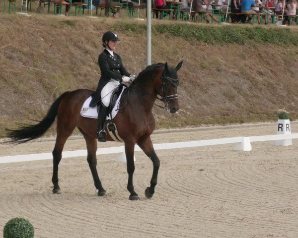 Reitturnier Bübinger Hof 2020