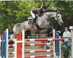 jumper Amaretto SB (German Sport Horse, 2009, from Alvalon)