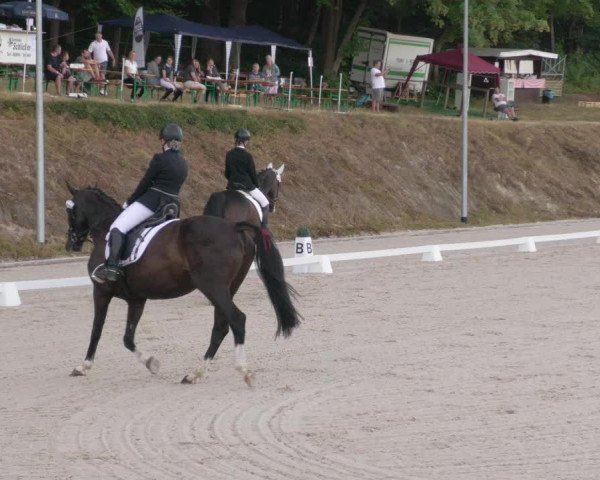 Reitturnier Bübinger Hof 2020