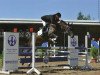 jumper Loona 70 (Bavarian, 2005, from Levantino H)