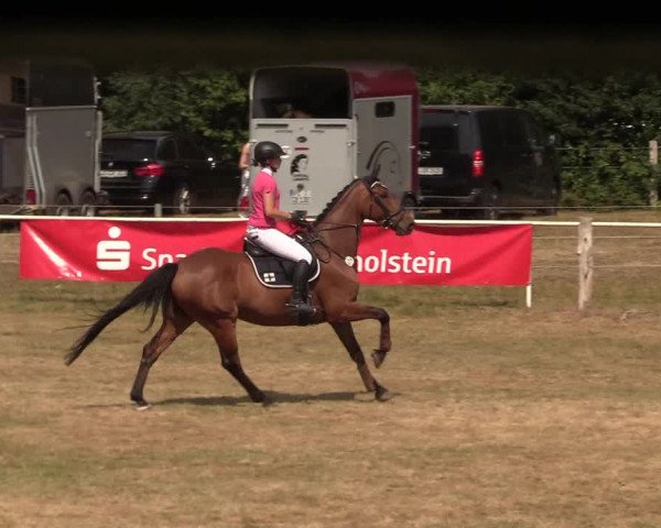 Reitturnier Kellinghusen 2020