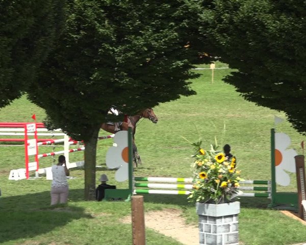Reitturnier Aadorf 2020
