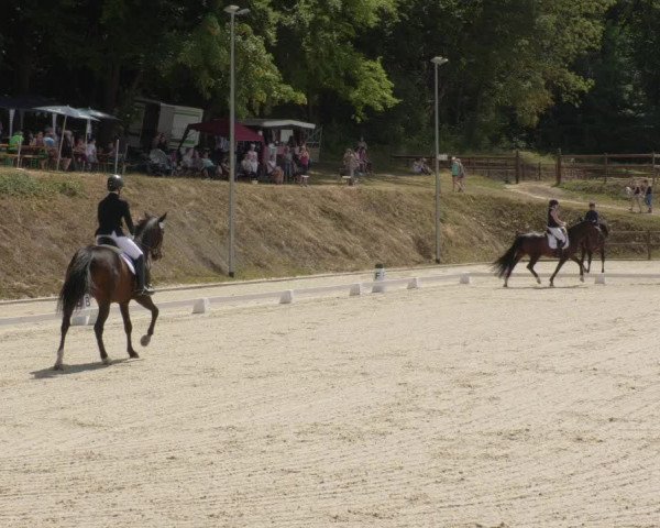 Reitturnier Bübinger Hof 2020