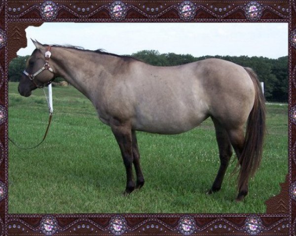 broodmare Peppy Marguarita (Quarter Horse, 1999, from Peppy Plan)