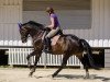 broodmare Laurie 6 (Hanoverian, 2008, from Lauries Crusador xx)