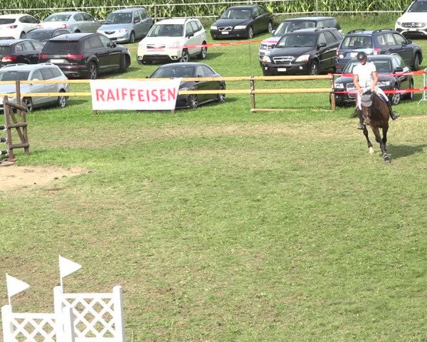 Reitturnier Aadorf 2020
