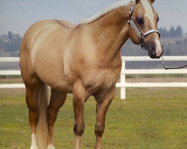 stallion Major Hearts Desire (Quarter Horse, 1995, from Major Bonanza)