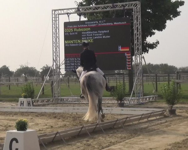 Reitturnier Kaarst-Holzbüttgen - Pannenbeckerhof 2020