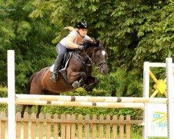 dressage horse Miss Magic Marina (German Riding Pony, 2005, from Mariano)