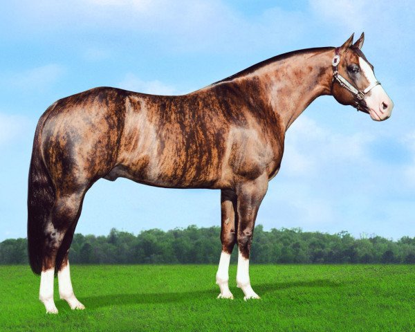 Deckhengst Dunbars Gold (Quarter Horse, 1996, von Two D Nine)