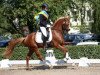 dressage horse Champion's League R (German Riding Pony, 2012, from FS Cracker Jack)