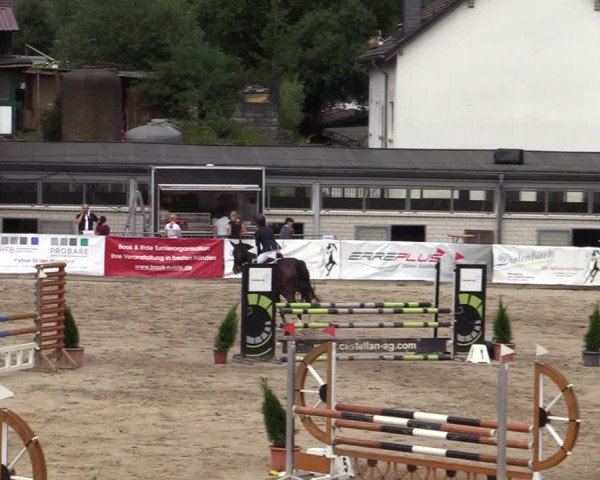 Reitturnier Siegen 2020