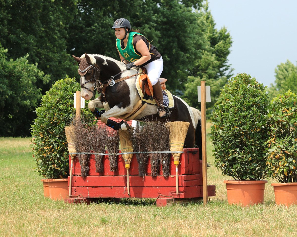 jumper Je-sais-pas (Pony without race description, 2005)
