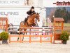 jumper Barrichello (German Riding Pony, 2000, from Bolero)