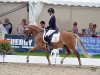 dressage horse Golden Globe (German Riding Pony, 2012, from Golden Rock)