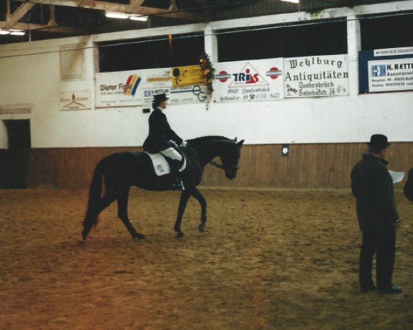 broodmare Rudelia (Oldenburg, 1999, from Rubinstein I)