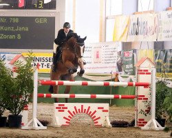 jumper Zoran (KWPN (Royal Dutch Sporthorse), 2004, from Hamlet)