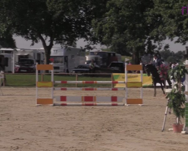 Reitturnier Marl, Reitanlage Rohmann 2020