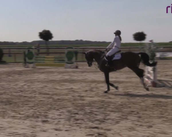 Reitturnier Marl, Reitanlage Rohmann 2020