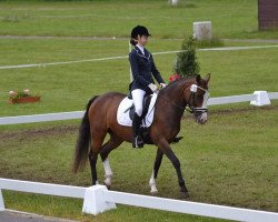 Dressurpferd Baltic Girl 2 (Deutsches Reitpony, 2007, von Baltic Dream)