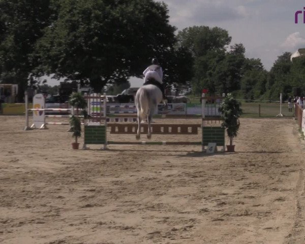 Reitturnier Marl, Reitanlage Rohmann 2020