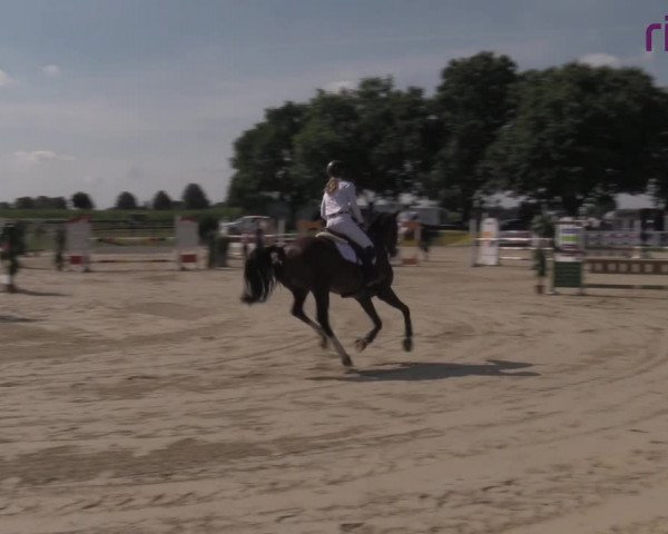 Reitturnier Marl, Reitanlage Rohmann 2020