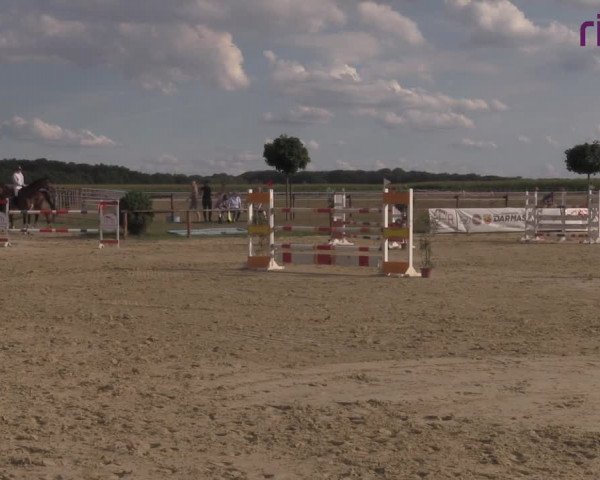 Reitturnier Marl, Reitanlage Rohmann 2020