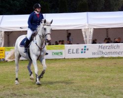 Springpferd Scarlett 368 (Polnisches Warmblut, 2000)