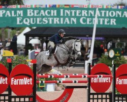 jumper Comanche 28 (Oldenburg show jumper, 2006, from Coupe de Coeur 2)