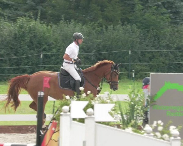 Reitturnier Öpfingen 2020