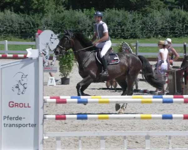Reitturnier Öpfingen 2020