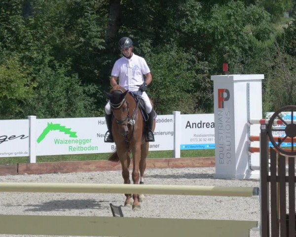 Reitturnier Öpfingen 2020