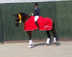 dressage horse Sandros Black Pearl (Hanoverian, 2010, from Sir Donnerhall I)