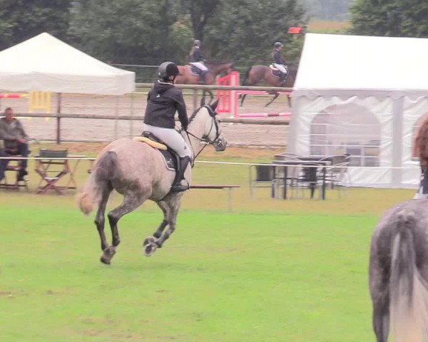 Reitturnier Hanerau-Hademarschen 2020