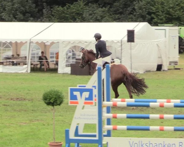 Reitturnier Hanerau-Hademarschen 2020