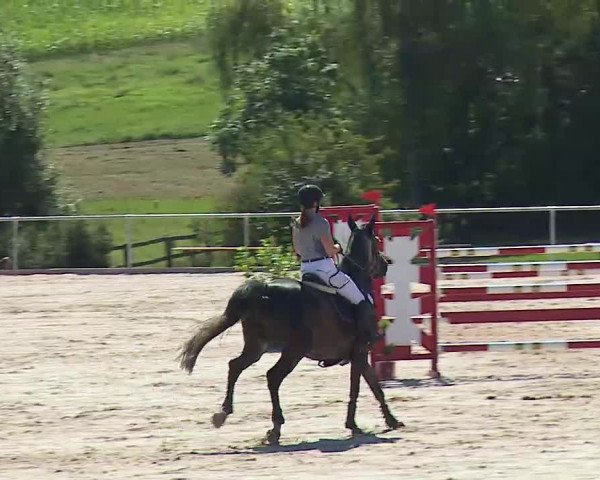 Reitturnier Ansbach/Mfr. 2020
