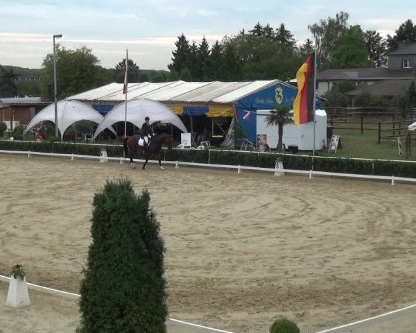 Reitturnier Bornheim-Widdig 2020