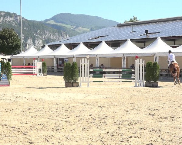 Reitturnier Balsthal 2020