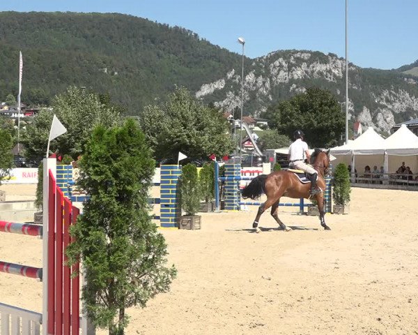 Reitturnier Balsthal 2020