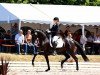 dressage horse Marrakesch 35 (German Sport Horse, 2012, from E.H. Millennium)