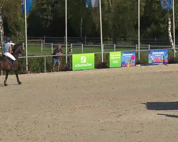 Reitturnier Ansbach/Mfr. 2020