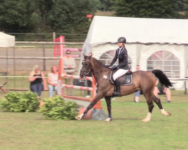 Reitturnier Hanerau-Hademarschen 2020