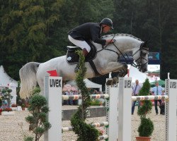 jumper Corfilio T (Oldenburg show jumper, 2005, from Cornet Obolensky)