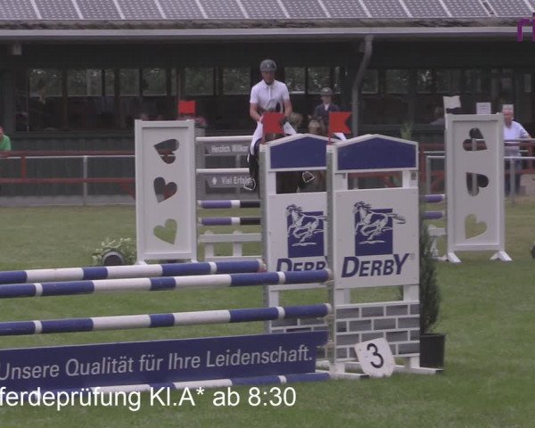Reitturnier Heiden 2020